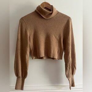 Aritzia Merino Wool Turtleneck Sweater